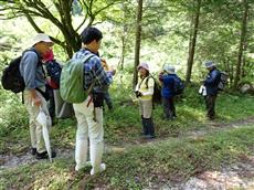 白石川林道で観察