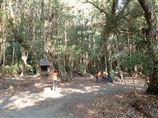 1野根八幡宮境内 1野根八幡宮境内