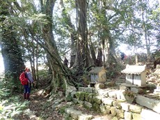 １０．六反地山の神