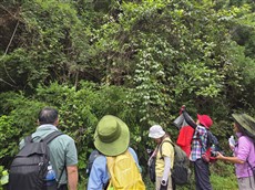 サルナシに集まる参加者たち（大利）