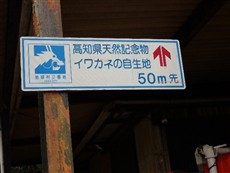 イワガネ案内板_福原 イワガネ案内板_福原