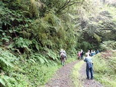 下ル川西ノ谷での観察2 下ル川西ノ谷での観察2