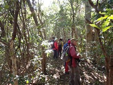 ②甲崎の観察 ②甲崎の観察