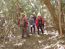 ③甲崎の観察2 ③甲崎の観察2